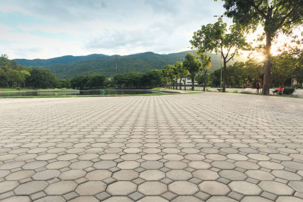 Best Decorative Driveway Pavers  in West Whittier Los Nietos, CA